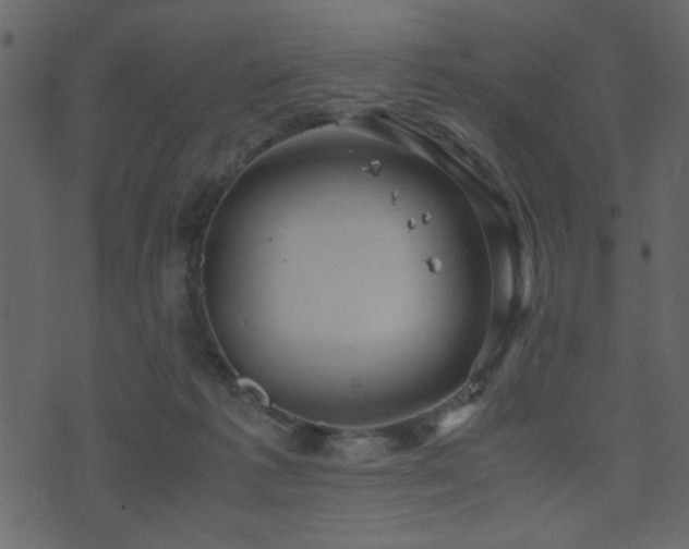 X0000071780221200606301228