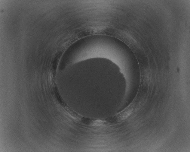 X0000071780222200606301228