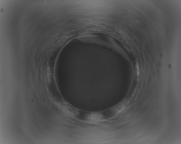 X0000071780223200606301228