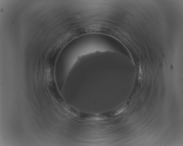 X0000071780224200606301228