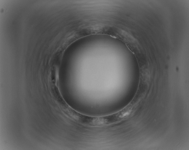 X0000071780225200606301228