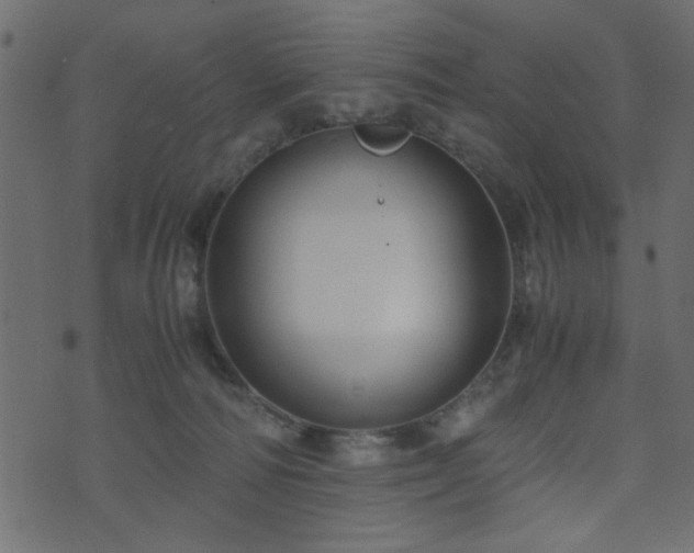 X0000071780226200606301228