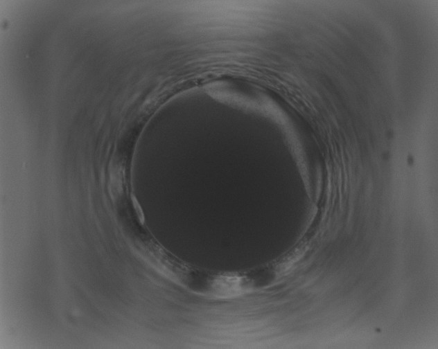 X0000071780227200606301228