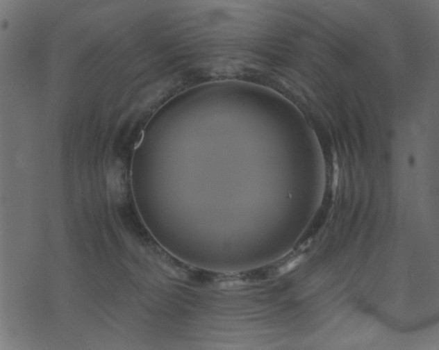 X0000071780228200606301228