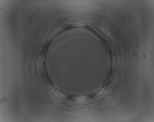 X0000071780229200606301228