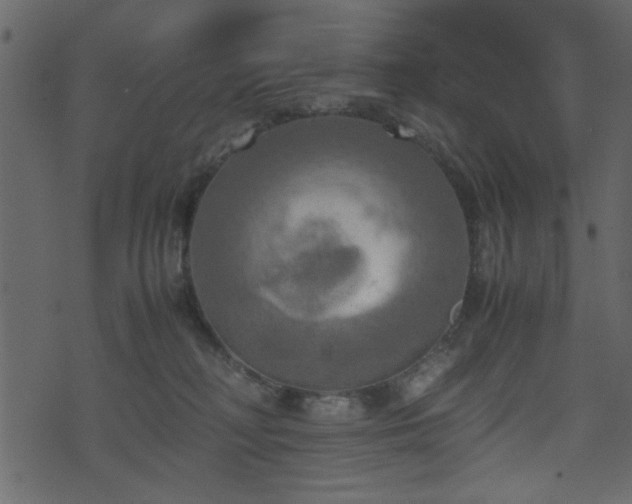 X0000071780230200606301228