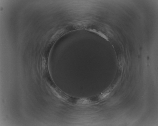 X0000071780231200606301228