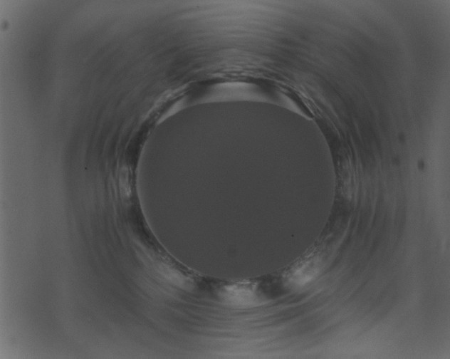 X0000071780232200606301228