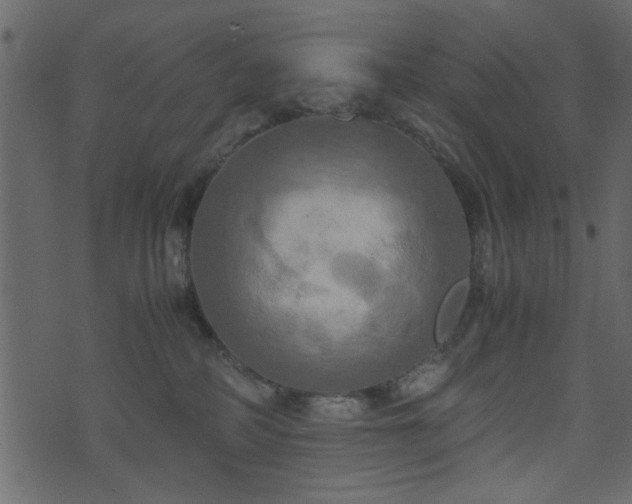 X0000071780234200606301228