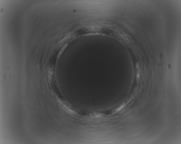 X0000071780235200606301228