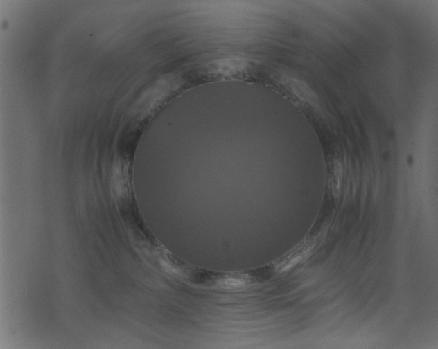 X0000071780236200606301228