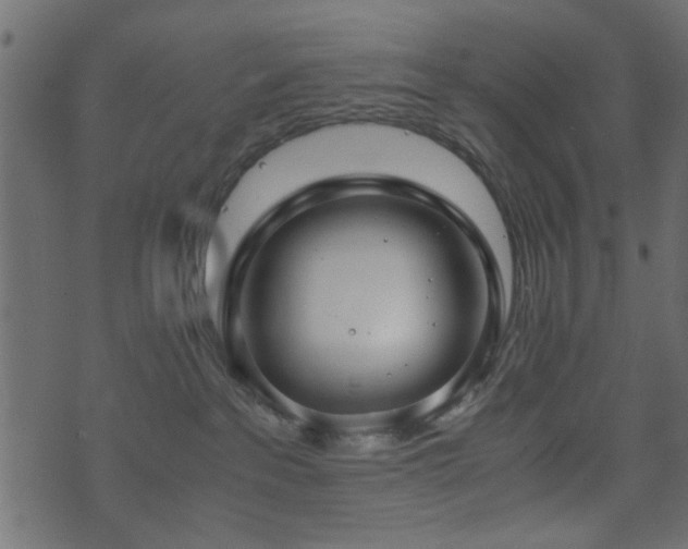 X0000071780237200606301228