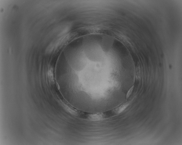 X0000071780238200606301228