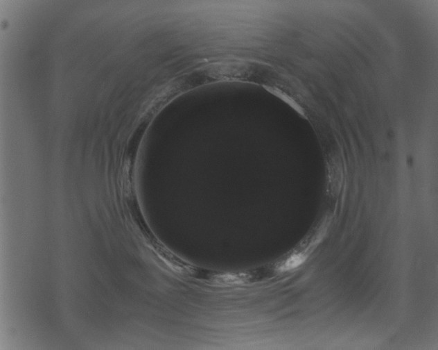 X0000071780239200606301228