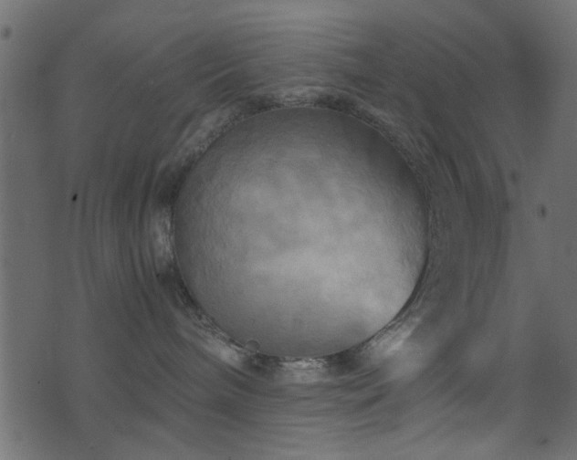 X0000071780240200606301228