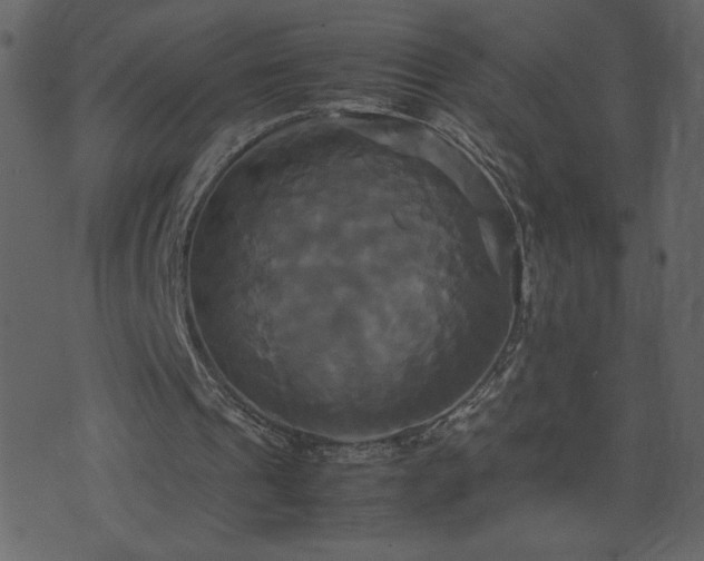 X0000071780241200606301227