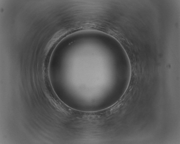 X0000071780242200606301227