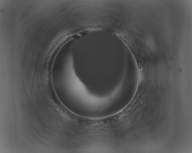 X0000071780243200606301227