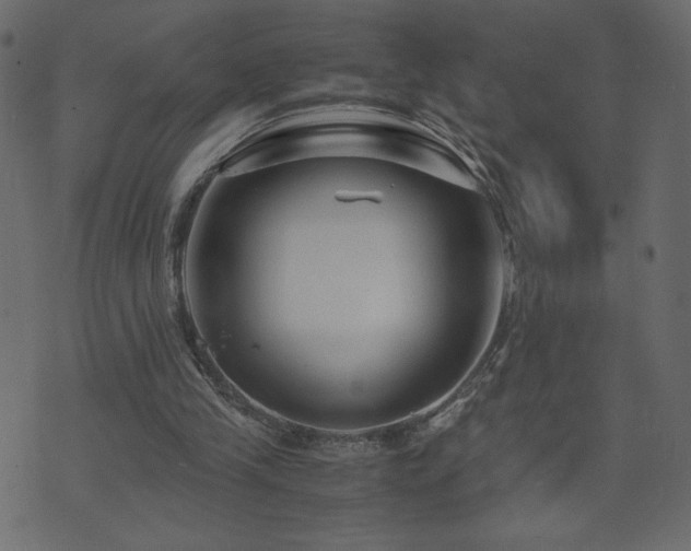 X0000071780245200606301227