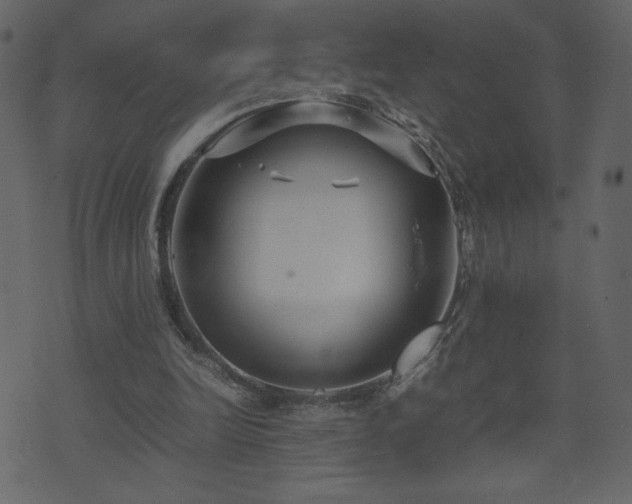 X0000071780246200606301227