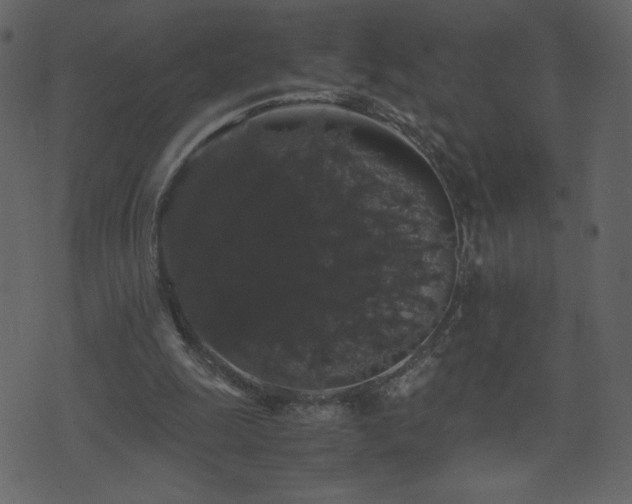 X0000071780247200606301227