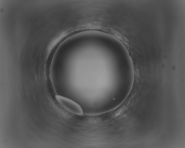 X0000071780248200606301227