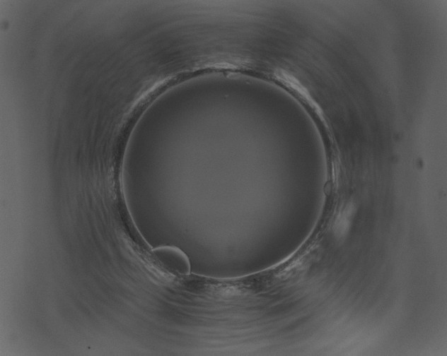 X0000071780249200606301227