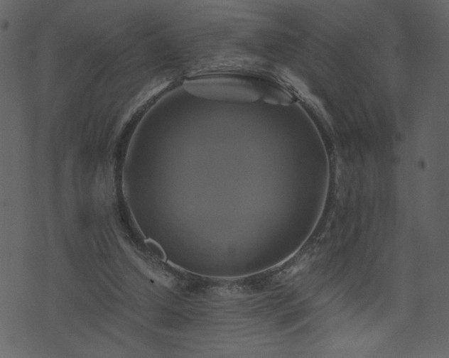 X0000071780250200606301227