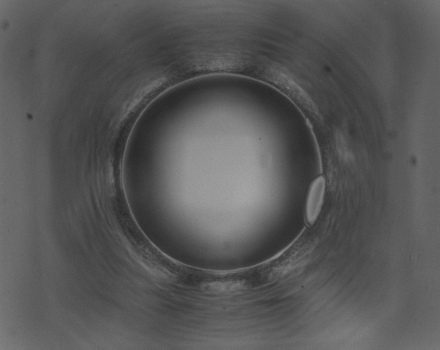 X0000071780251200606301227