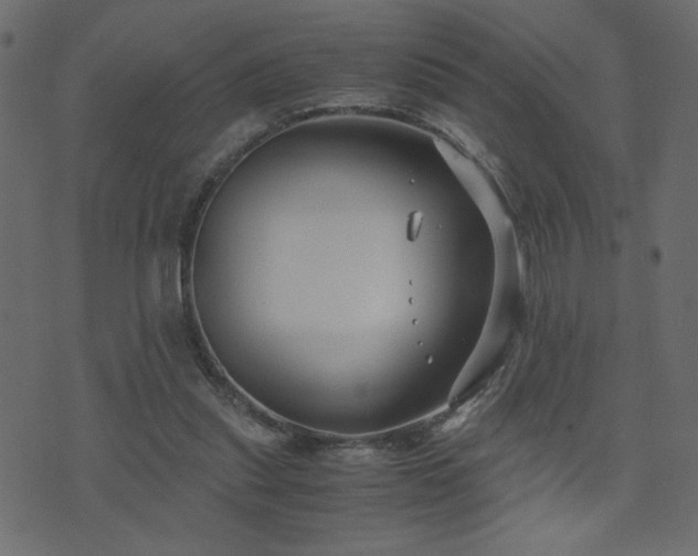 X0000071780253200606301227