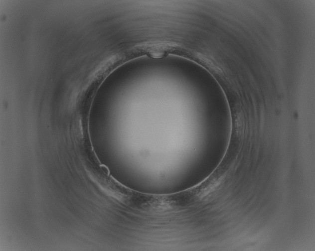 X0000071780254200606301227