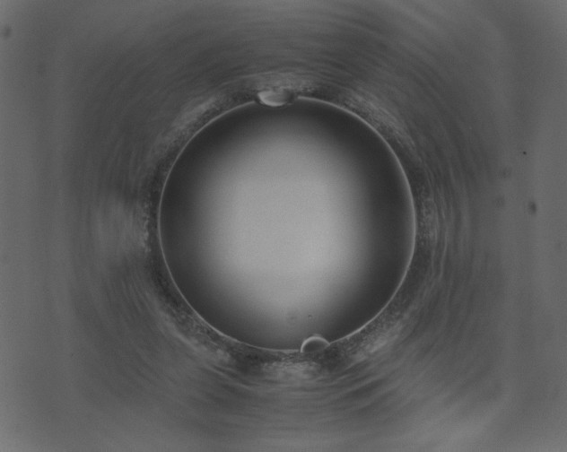 X0000071780255200606301227