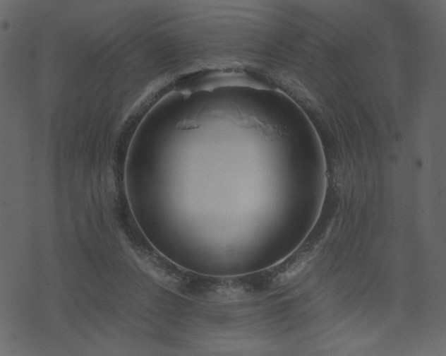 X0000071780256200606301227