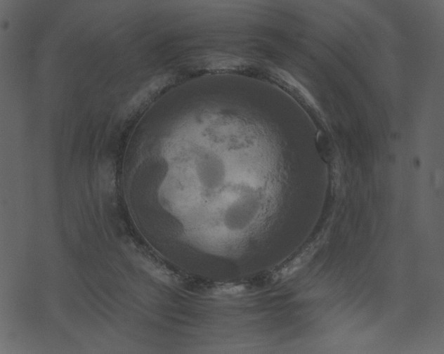 X0000071780257200606301227