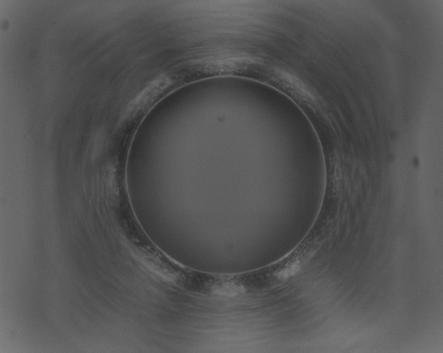 X0000071780258200606301227