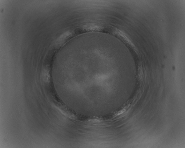 X0000071780259200606301227