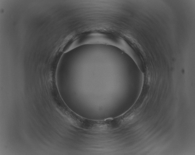 X0000071780260200606301227