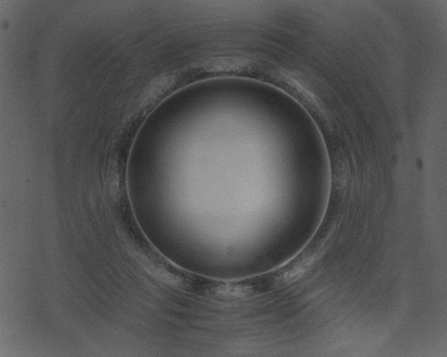 X0000071780261200606301227