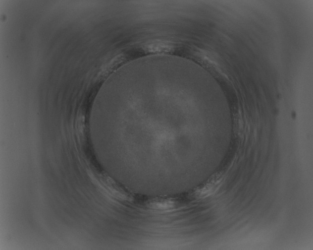 X0000071780263200606301227