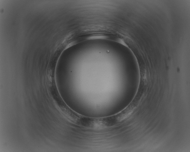 X0000071780264200606301227