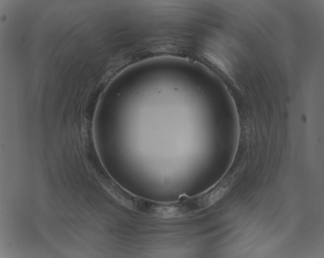 X0000071780265200606301227