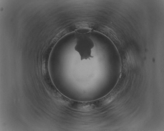 X0000071780267200606301227