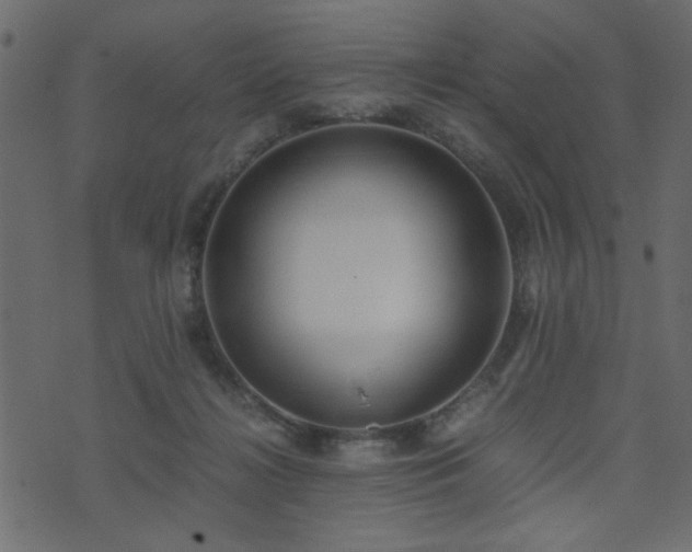 X0000071780268200606301227