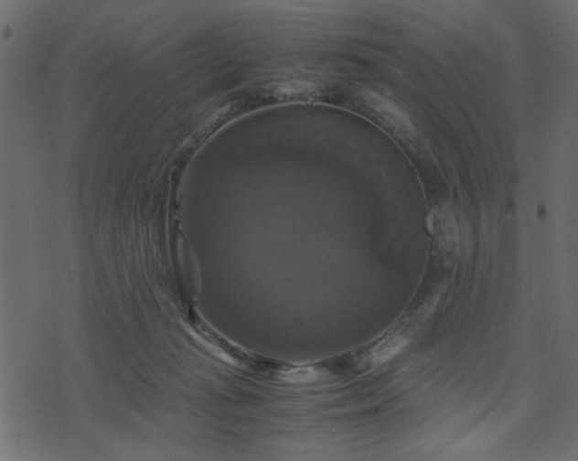 X0000071780269200606301227