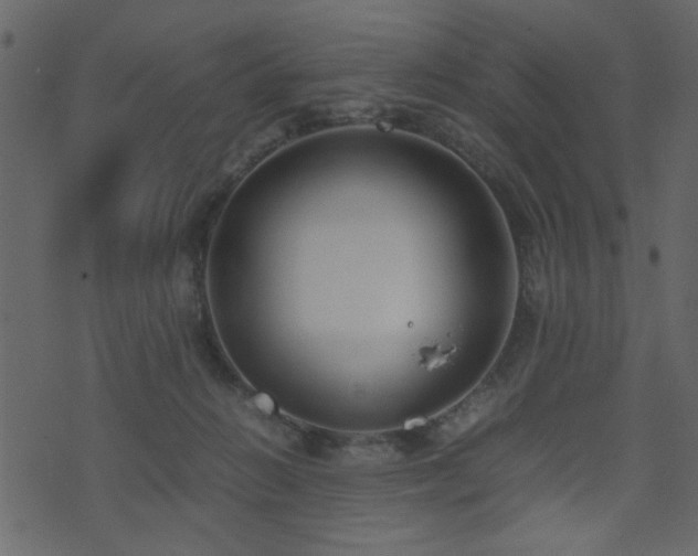 X0000071780270200606301227