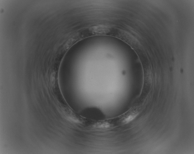 X0000071780271200606301227