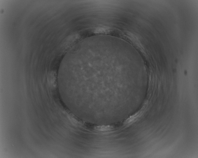 X0000071780273200606301228