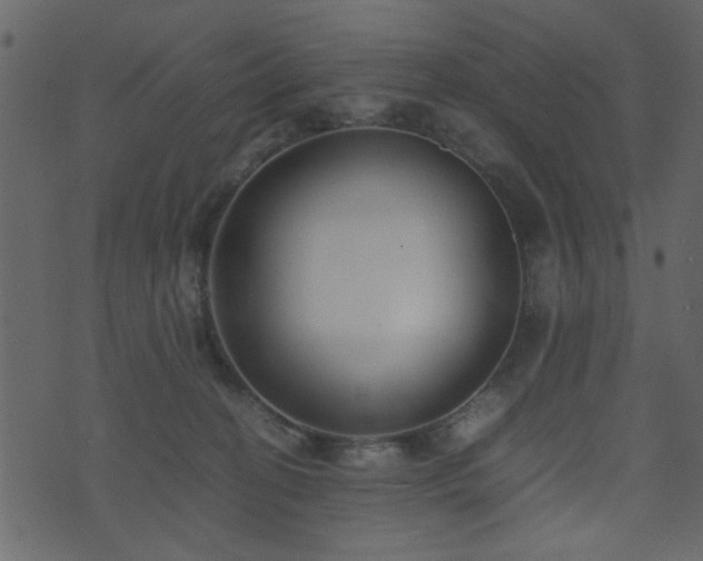 X0000071780274200606301228