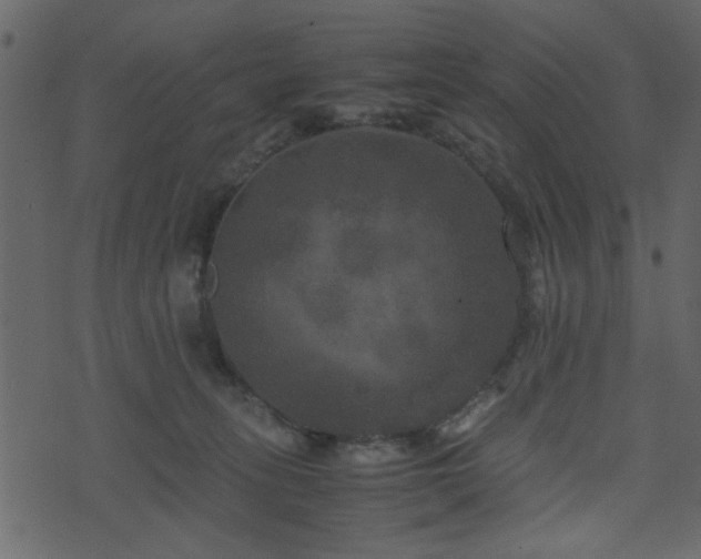 X0000071780275200606301228