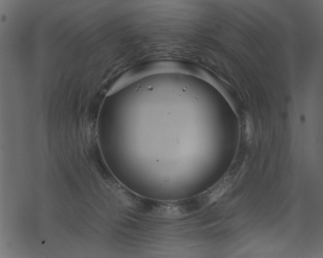 X0000071780276200606301228